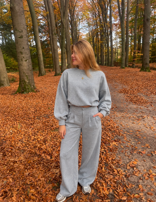 Grijze getailleerde tracksuit